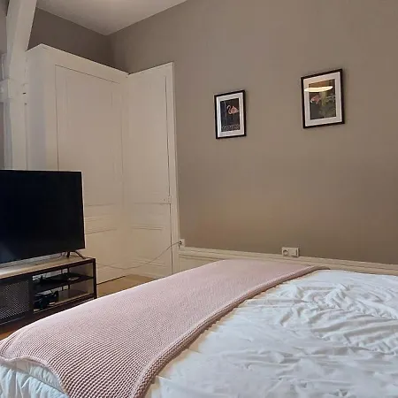 Dans De Charme Apartment Saint-Etienne (Loire)